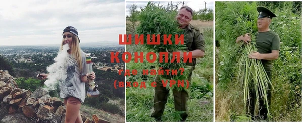 spice Алексин